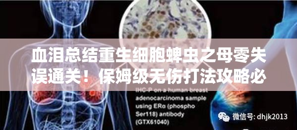 血淚總結重生細胞蜱蟲之母零失誤通關！保姆級無傷打法攻略必存